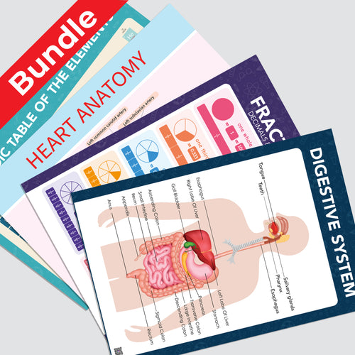 Advanced Posters Bundle _ مجموعة ملصقات المتقدمة