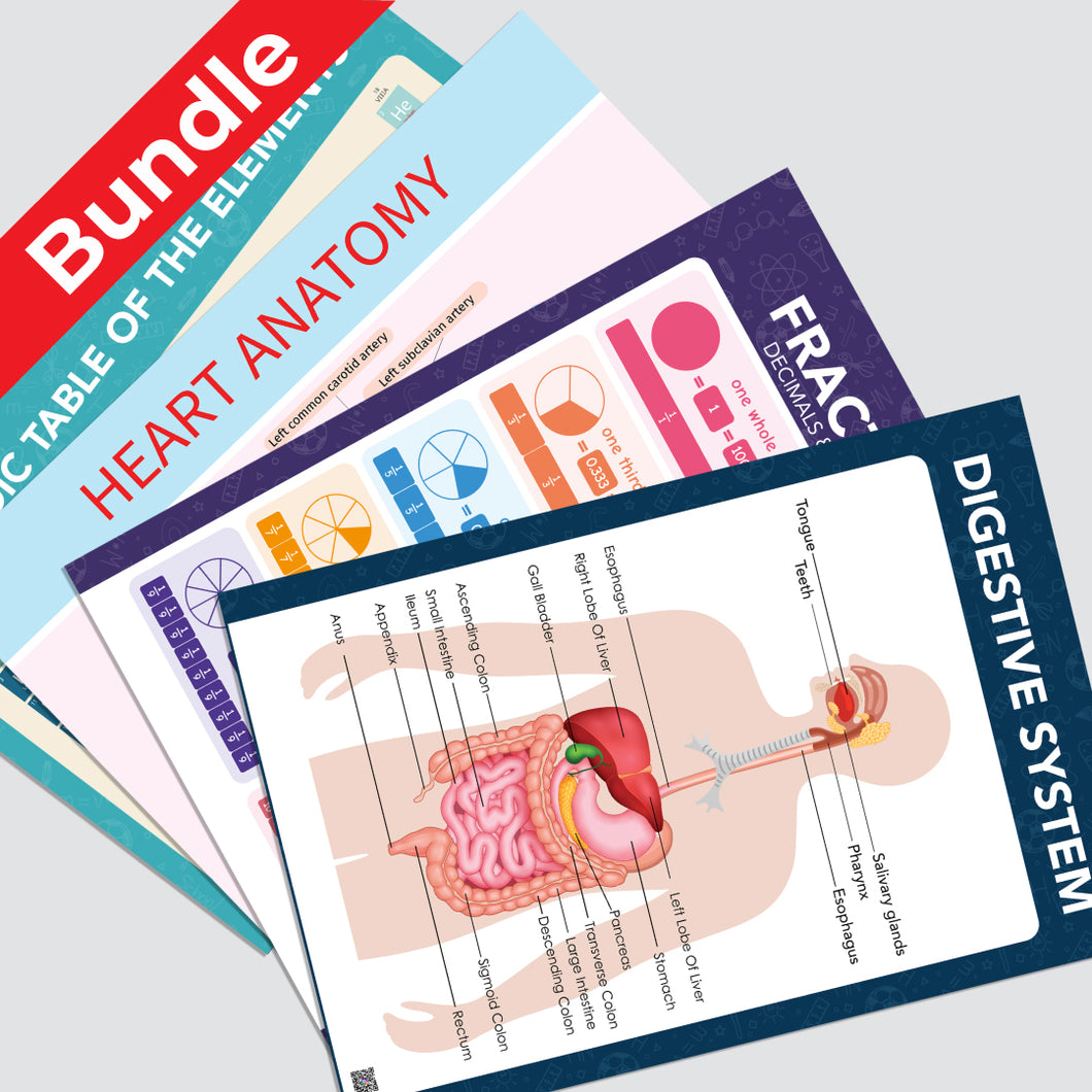 Advanced Posters Bundle _ مجموعة ملصقات المتقدمة